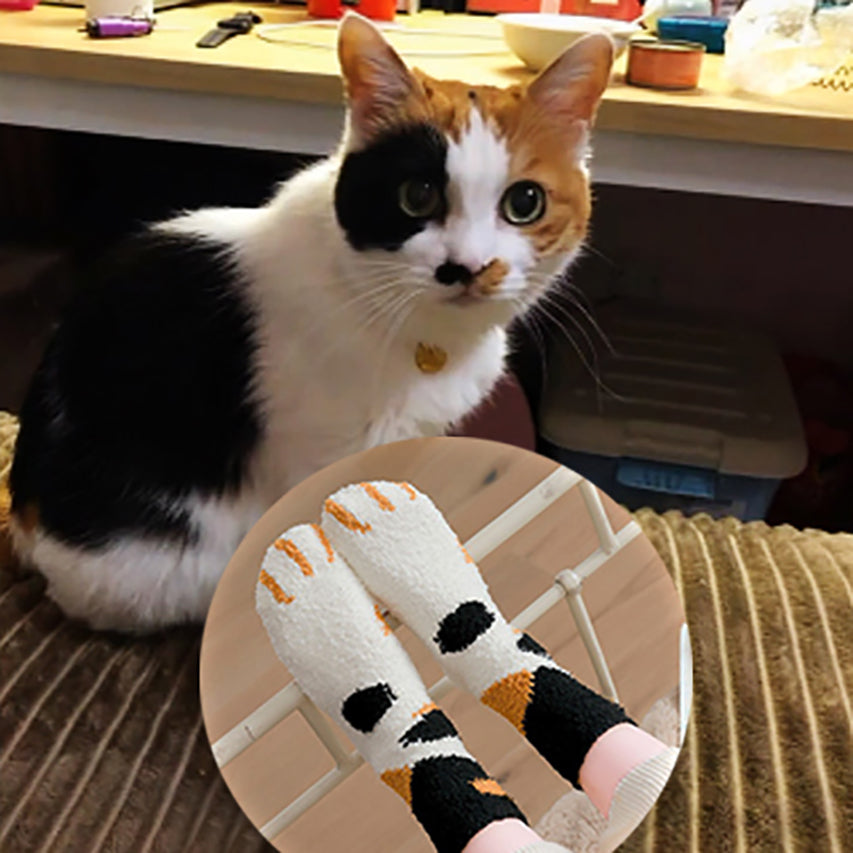 New Premium™ Winter Warm Cat Claws Socks